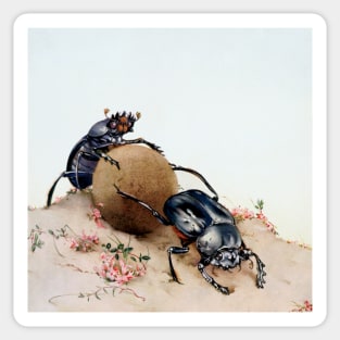 Sacred scarabs (Scarabaeus sacer) rolling a dung ball. Sticker